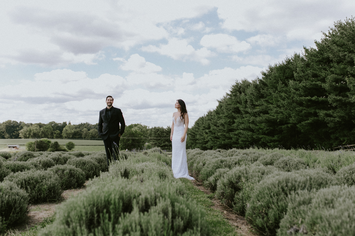 new-hope-pa-wedding-ambergress-0119.jpg