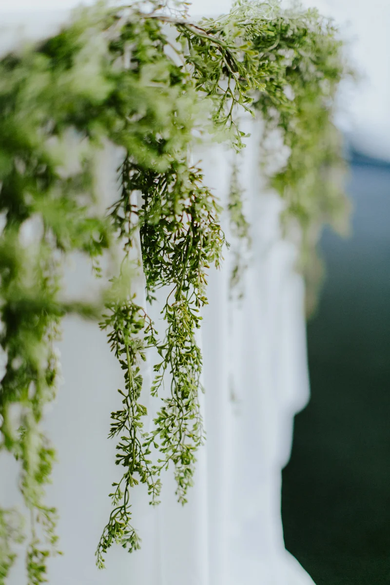 new-hope-pa-wedding-ambergress-0642.jpg