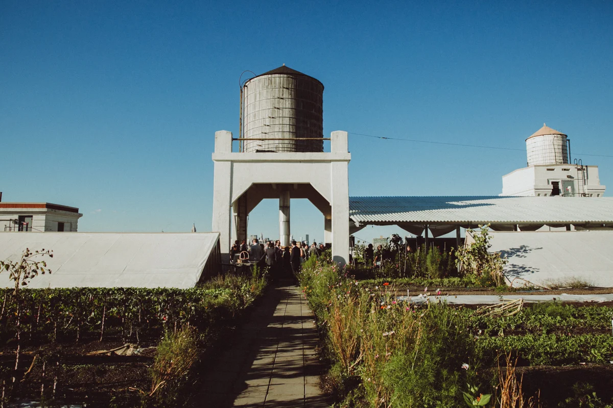 brooklyn-grange-wedding-ambergress-0001.jpg