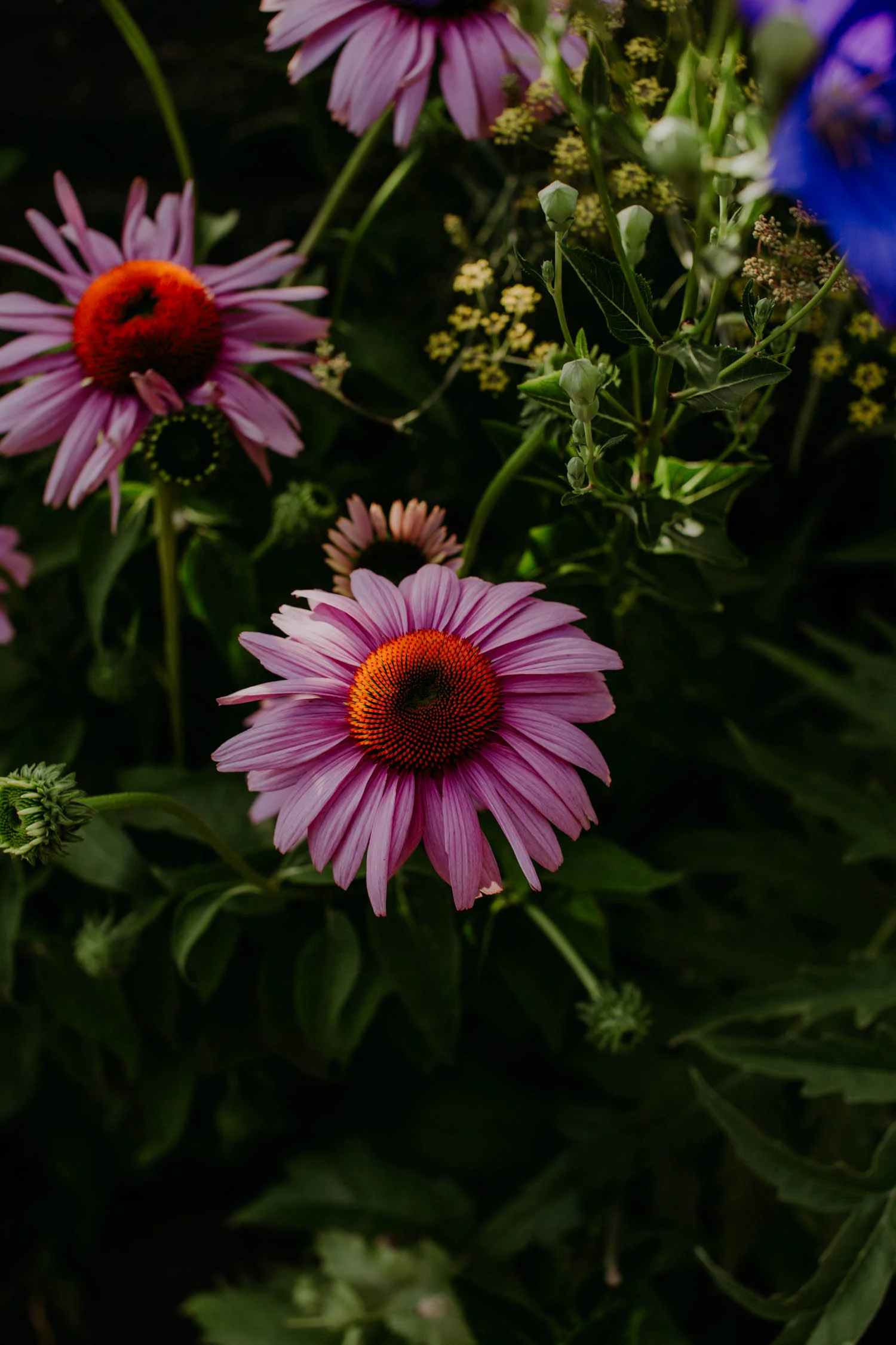 blue-hill-wedding-amber-gress-0283-.jpg