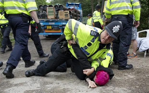 balcombe-arrest-pi_2630080b.jpg