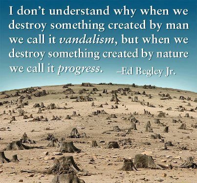 i-dont-understand-why-when-we-destroy-something-created-by-man-we-call-it-vandalism-but-when-we-destroy-something-created-by-nature-we-call-it-progress.jpg