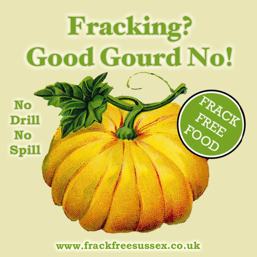 Good Gourd image for website.jpg