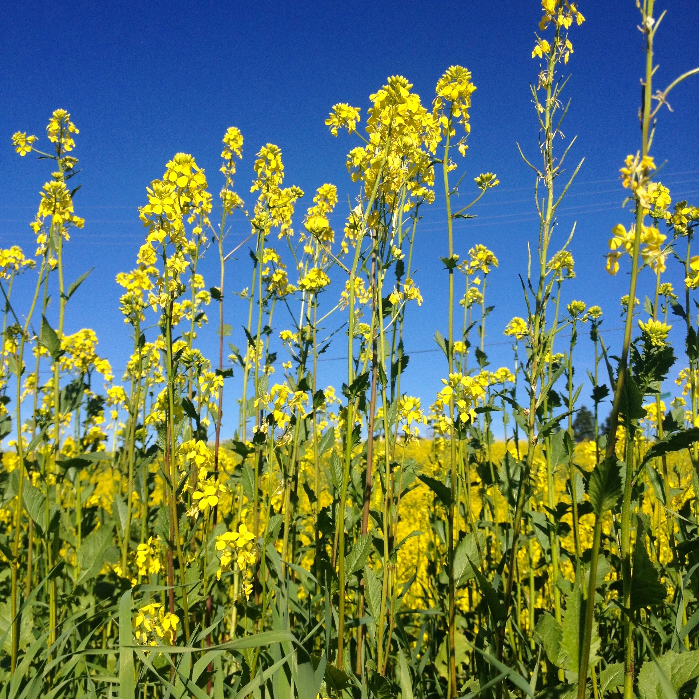 In A World Of My Own 