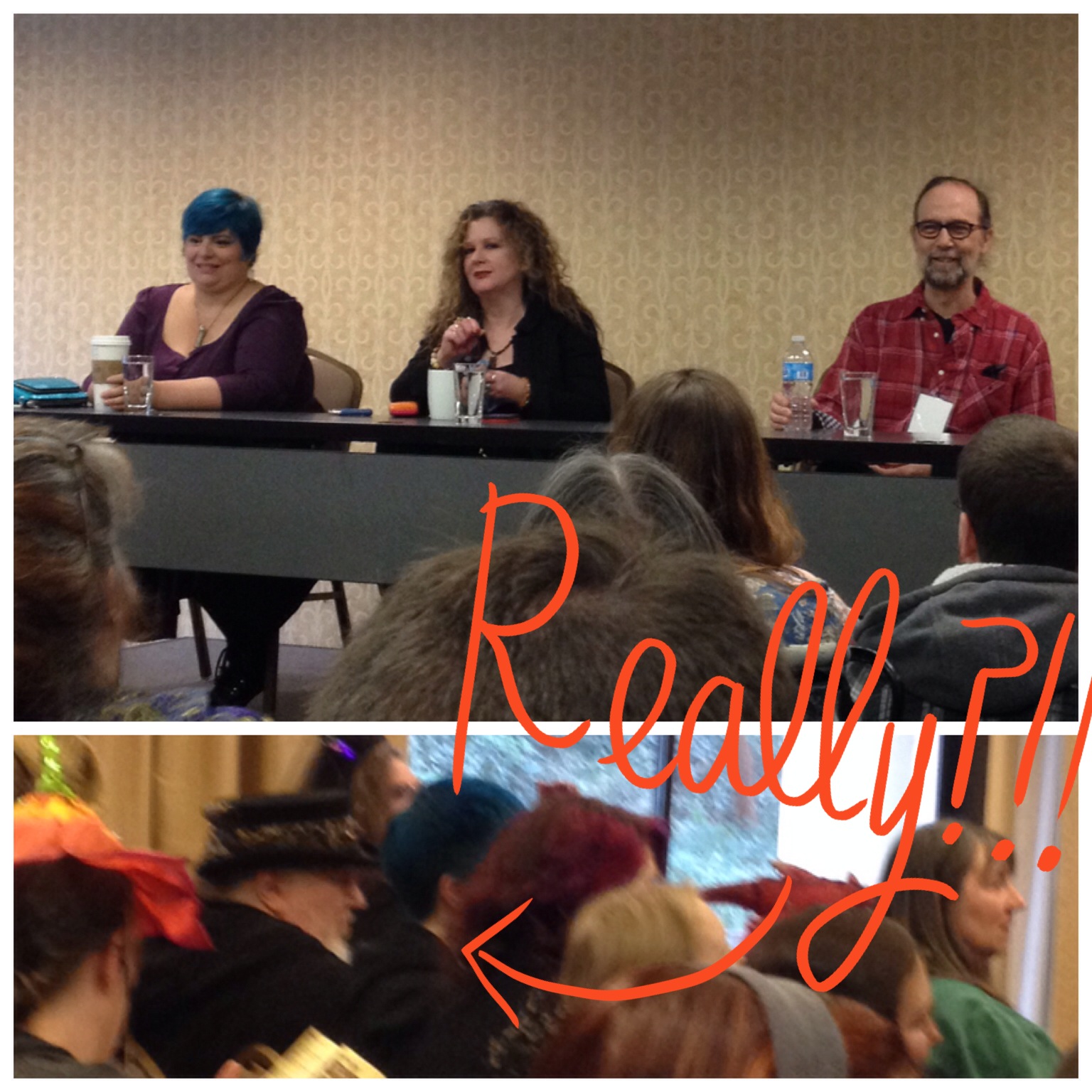 Holly Black, Lauren K Hamilton and Charles deLint speaking about "Why Are Strong Women In Fantasy Still A Surprise?" AND LOOK WHO ELSE WAS THERE WATCHING. 