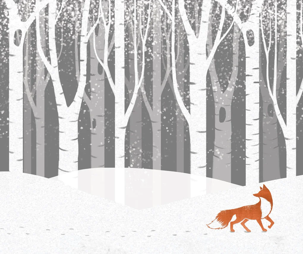 Birch Forest