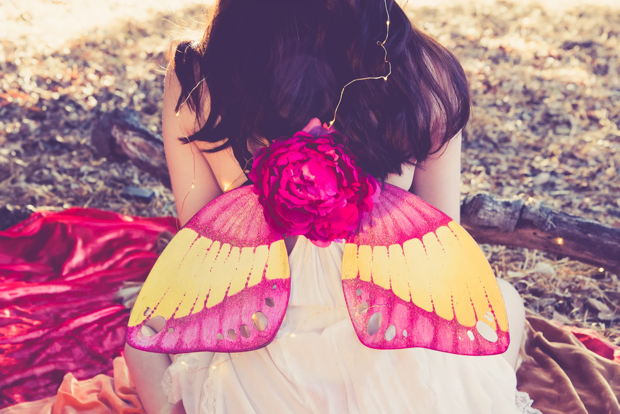Rosy Maple Moth Wings 