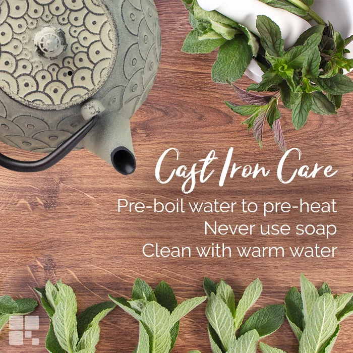 tea-pot-care.jpg