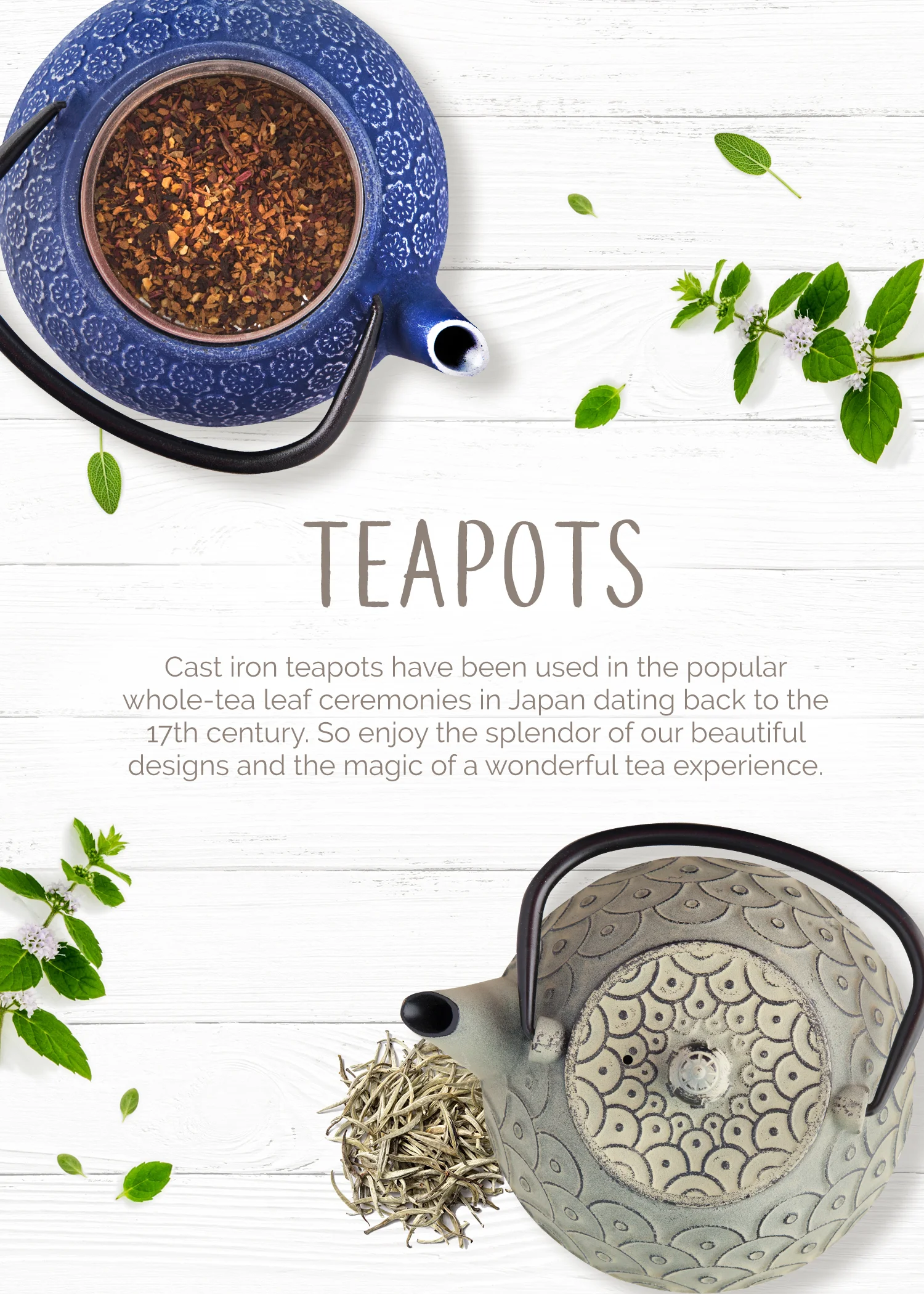 Teapots-5x7.jpg