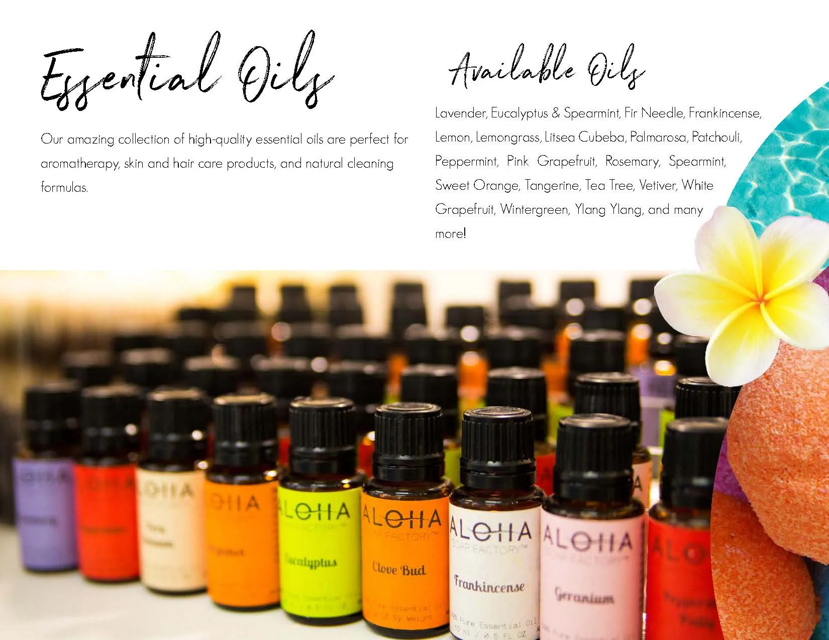 aloha-presentation-interactive_Page_6.jpg