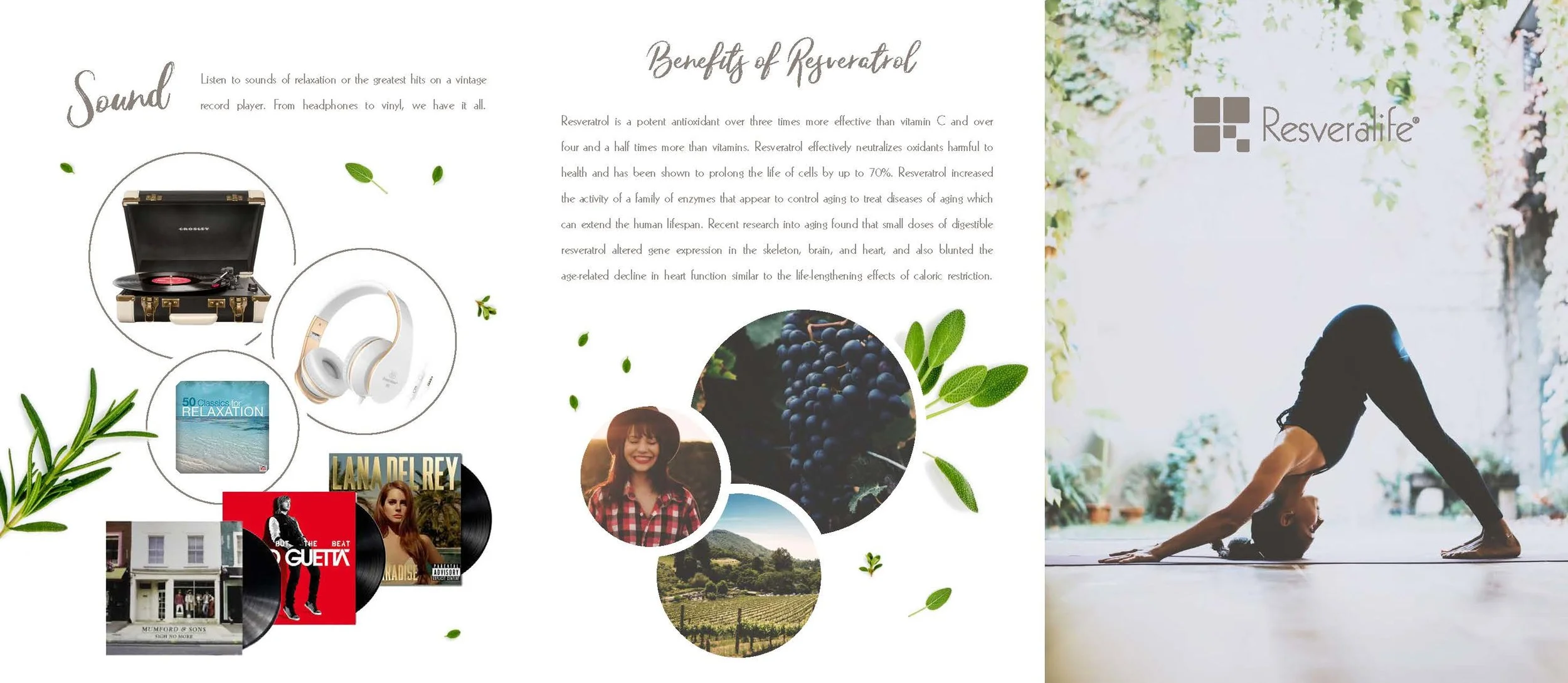 RESVERALIFE BROCHURE GONE WILD_Page_2.jpg
