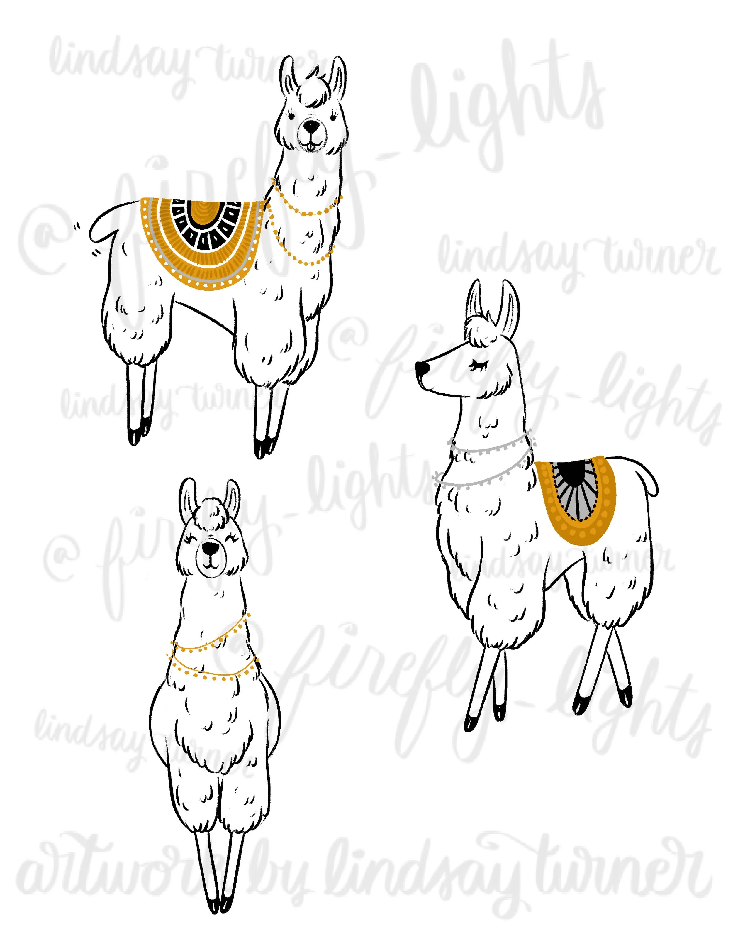 flash-book-2024Artboard 1 copy 3.jpg