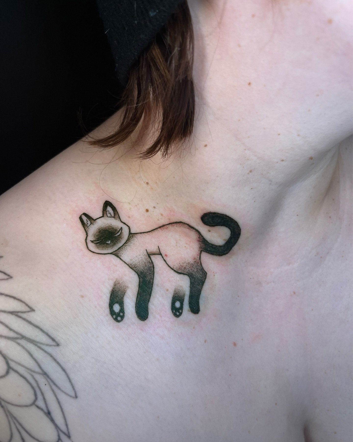 Another cutie patootie tattoo to start the year. 

Just a little siamese kitty hanging around on the collar bone. 

Thanks for the trust Claudia! 

#siamesetattoo #cattattoo