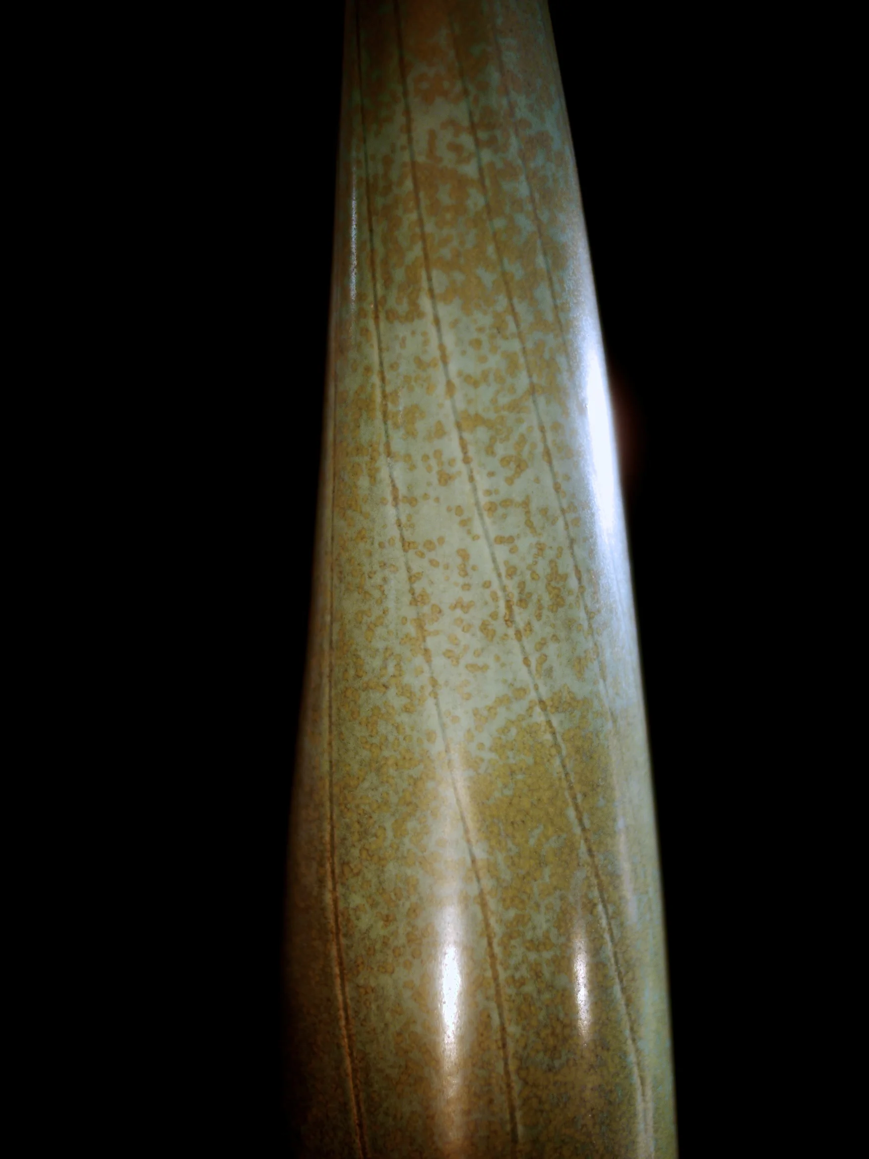 _1200091.JPG