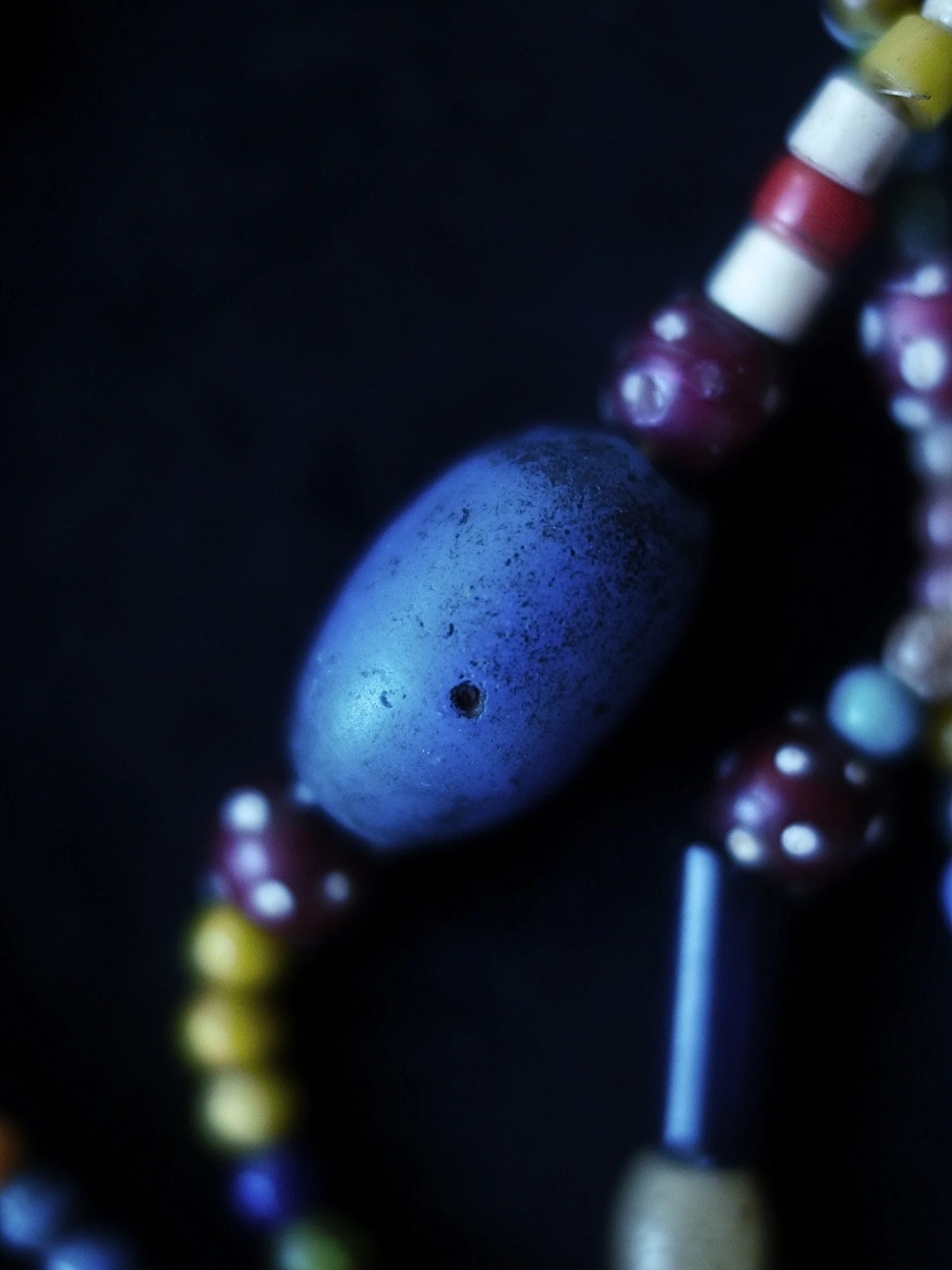 _1220263.JPG