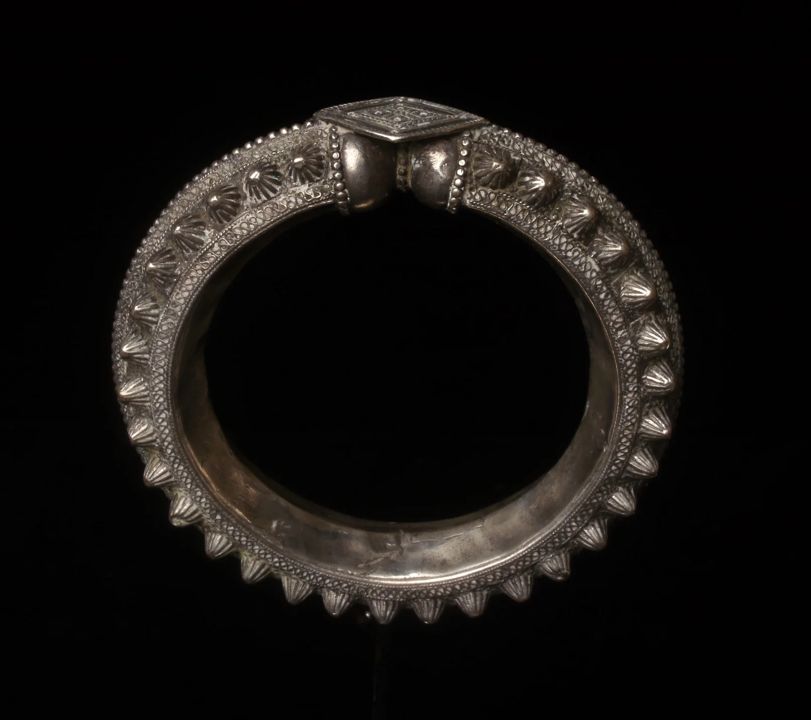 _1240027.JPG