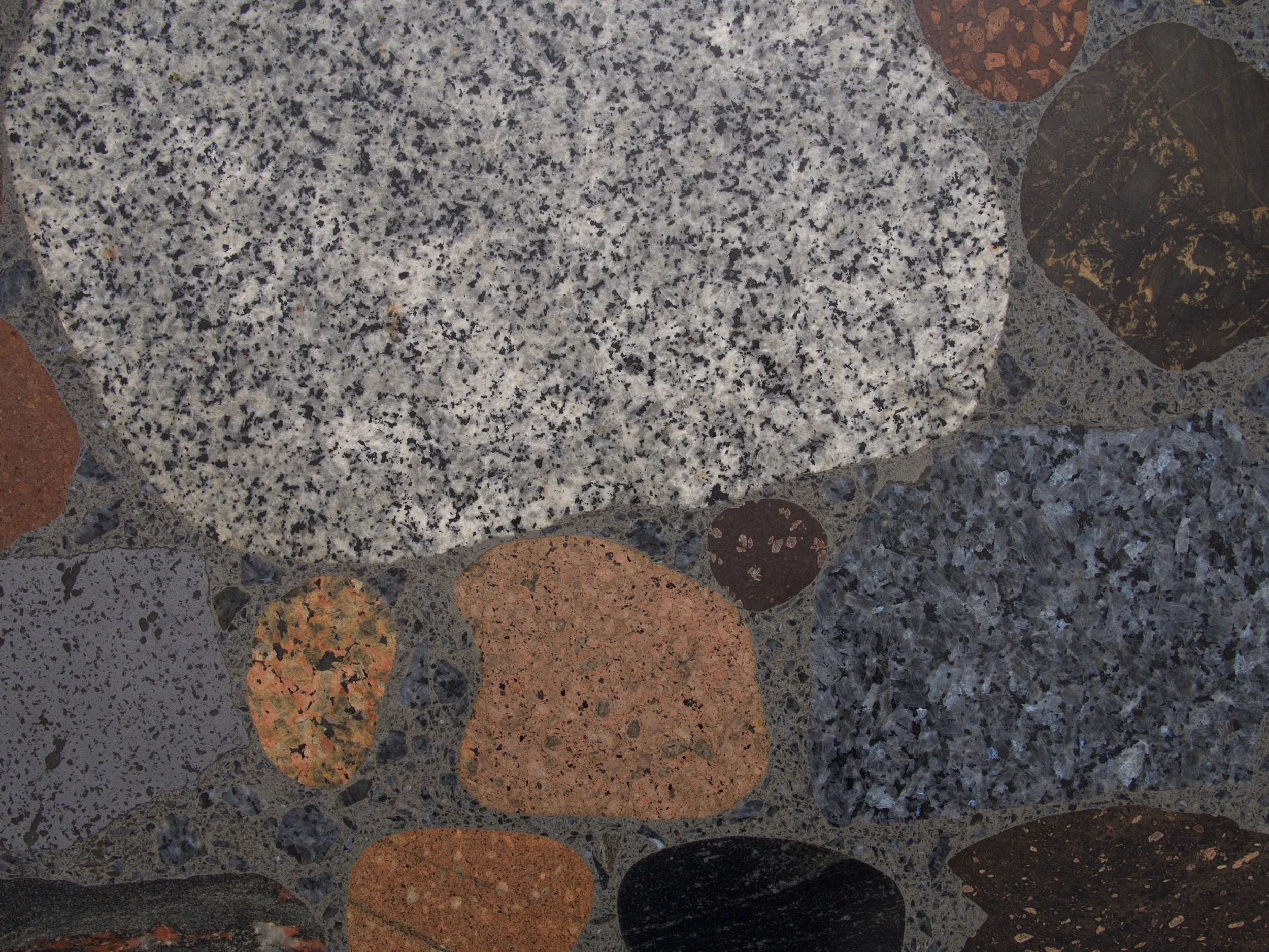 P1010313.jpg
