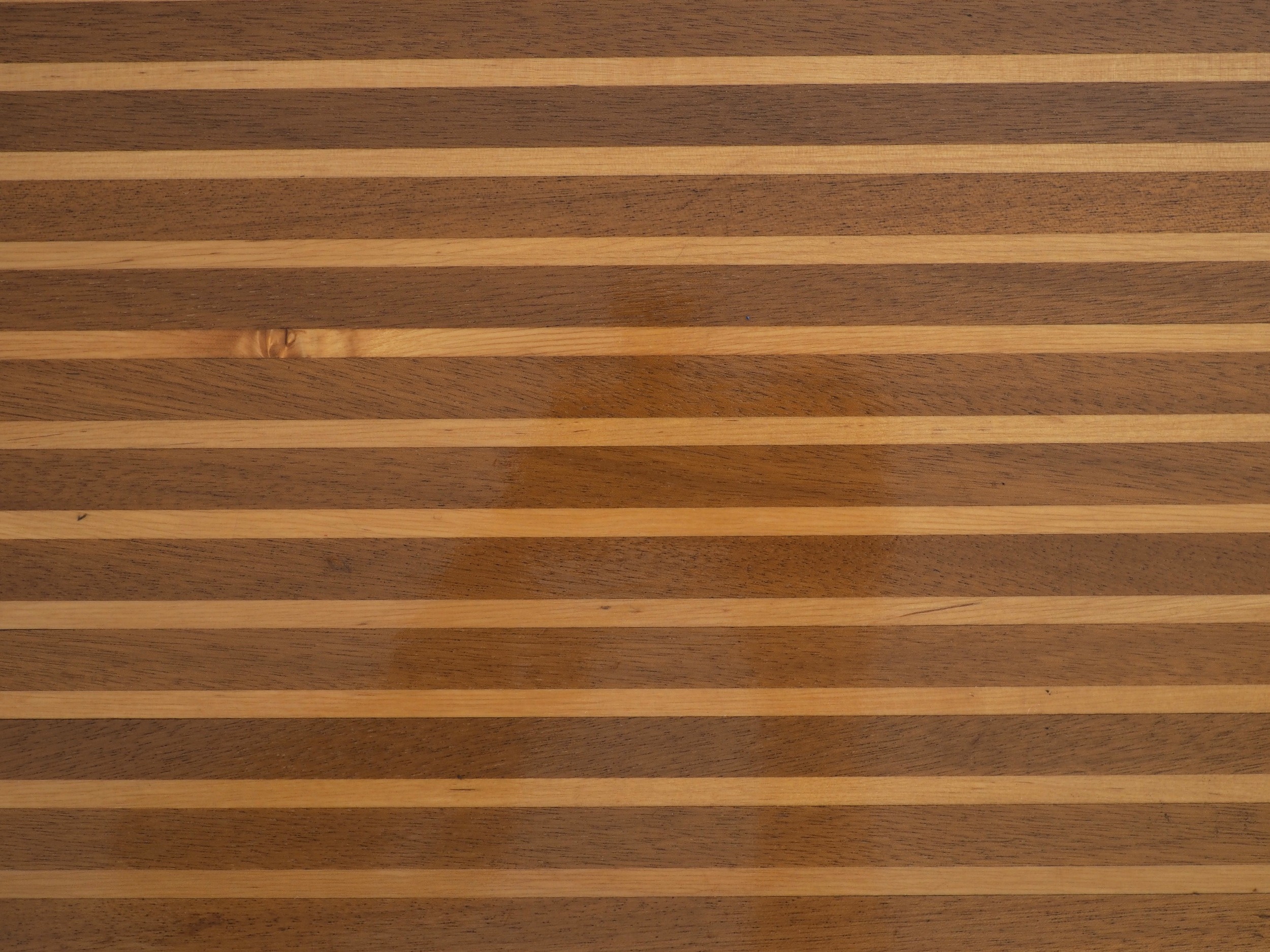 P1010047.jpg