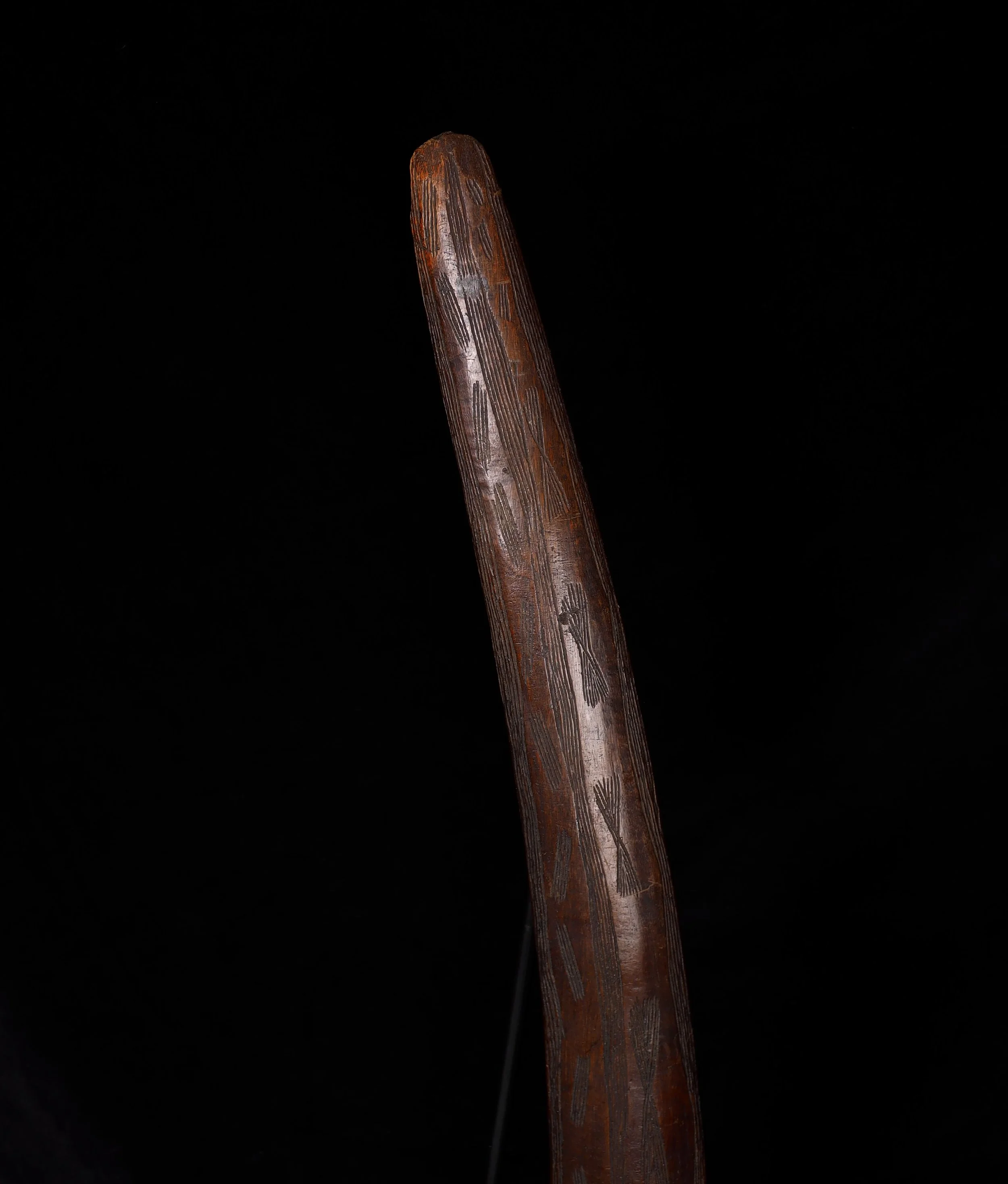 P1010592.jpg
