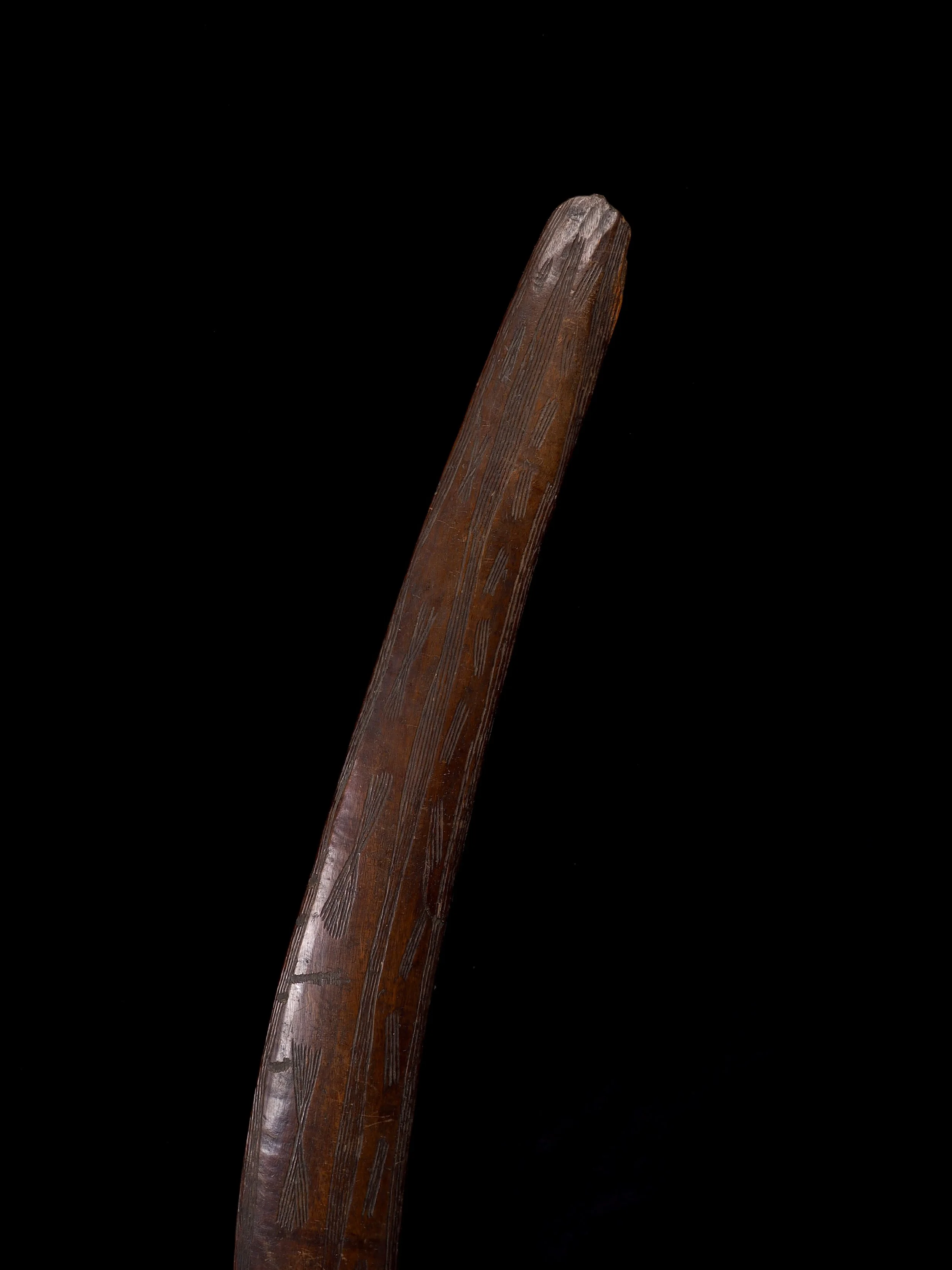 P1010728.jpg