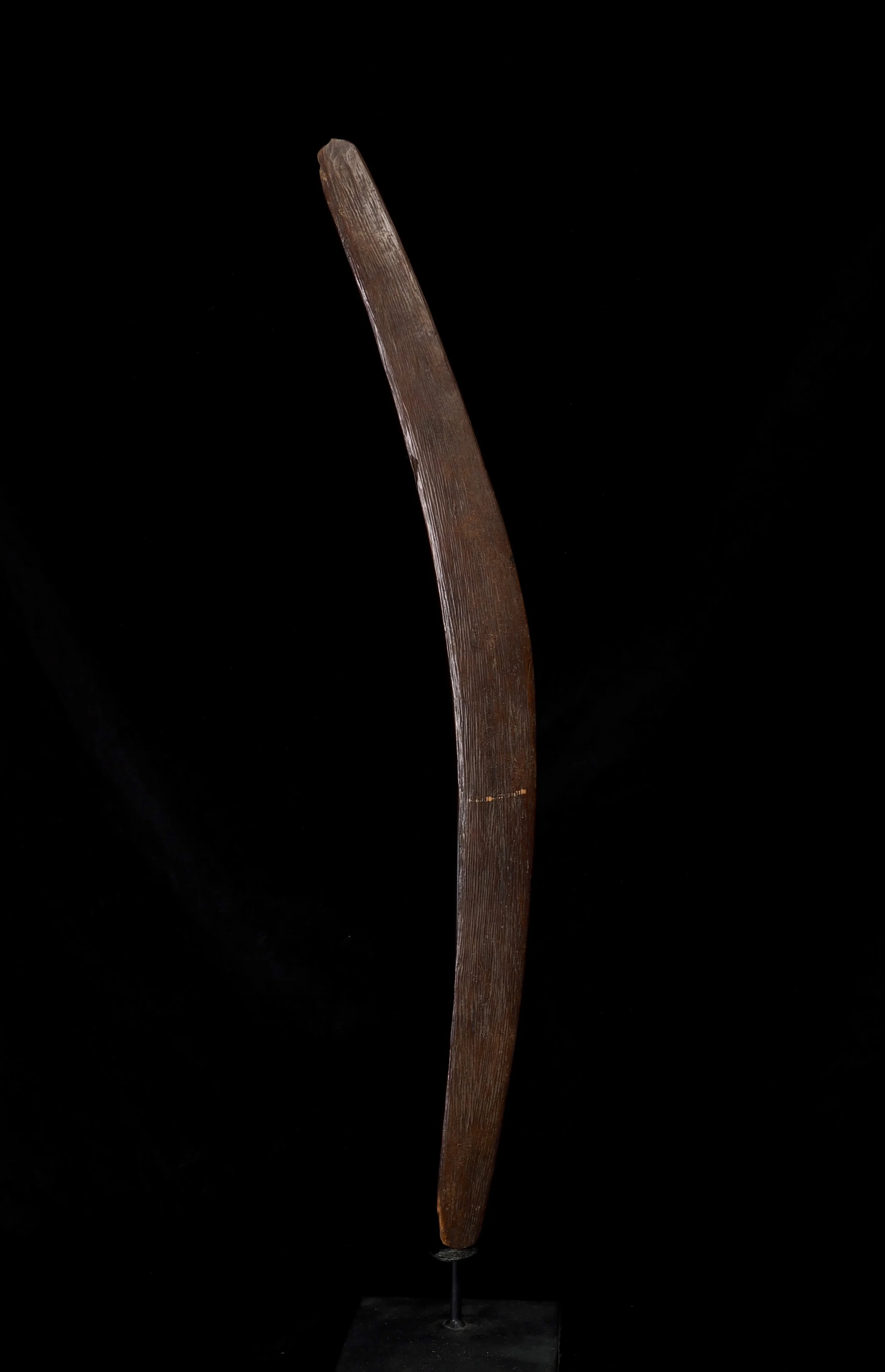 P1010730.jpg