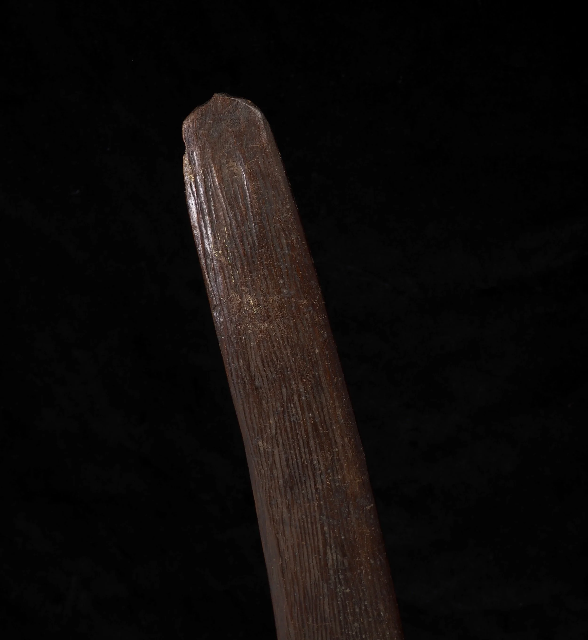 P1010735.jpg