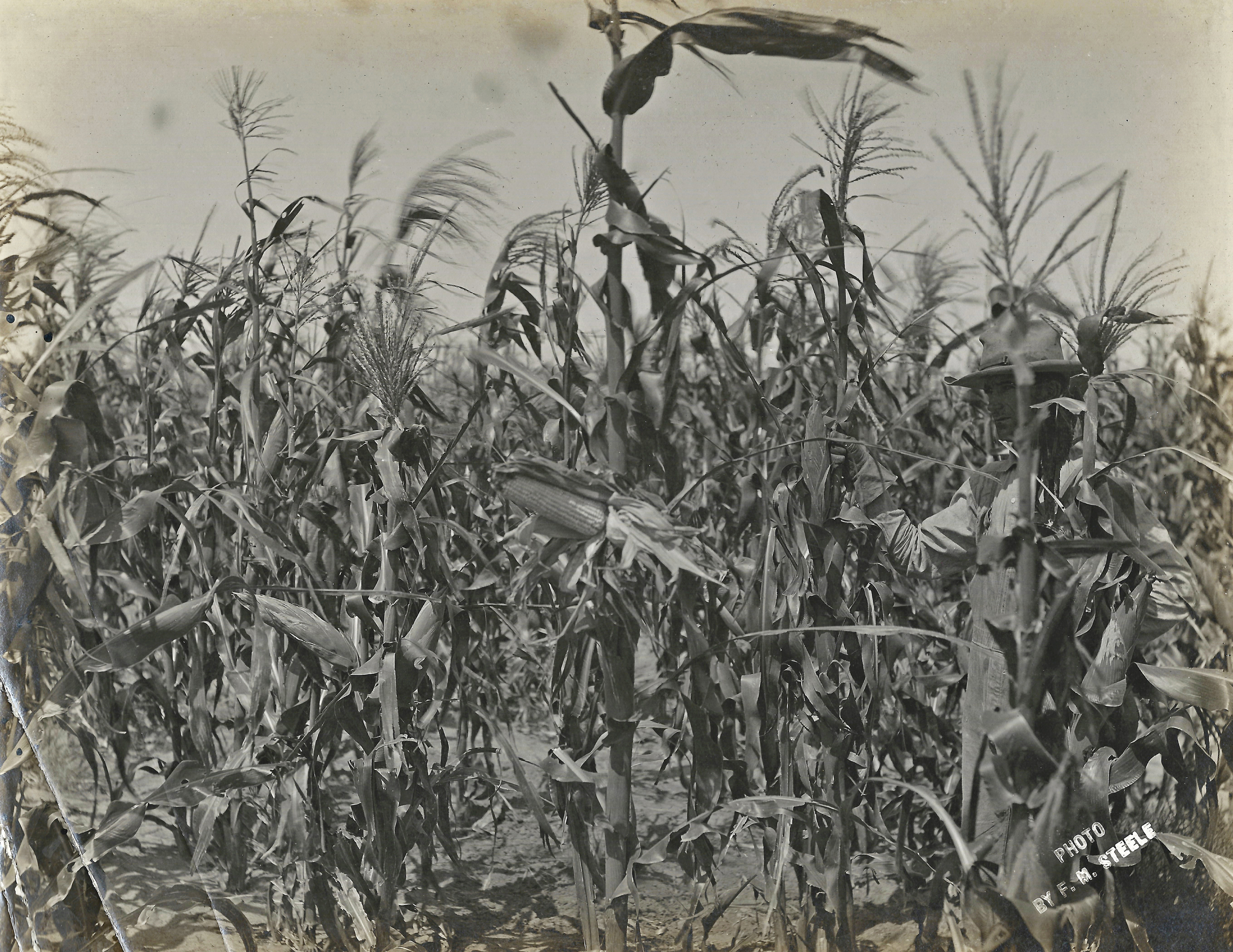 SCAN0094.jpg