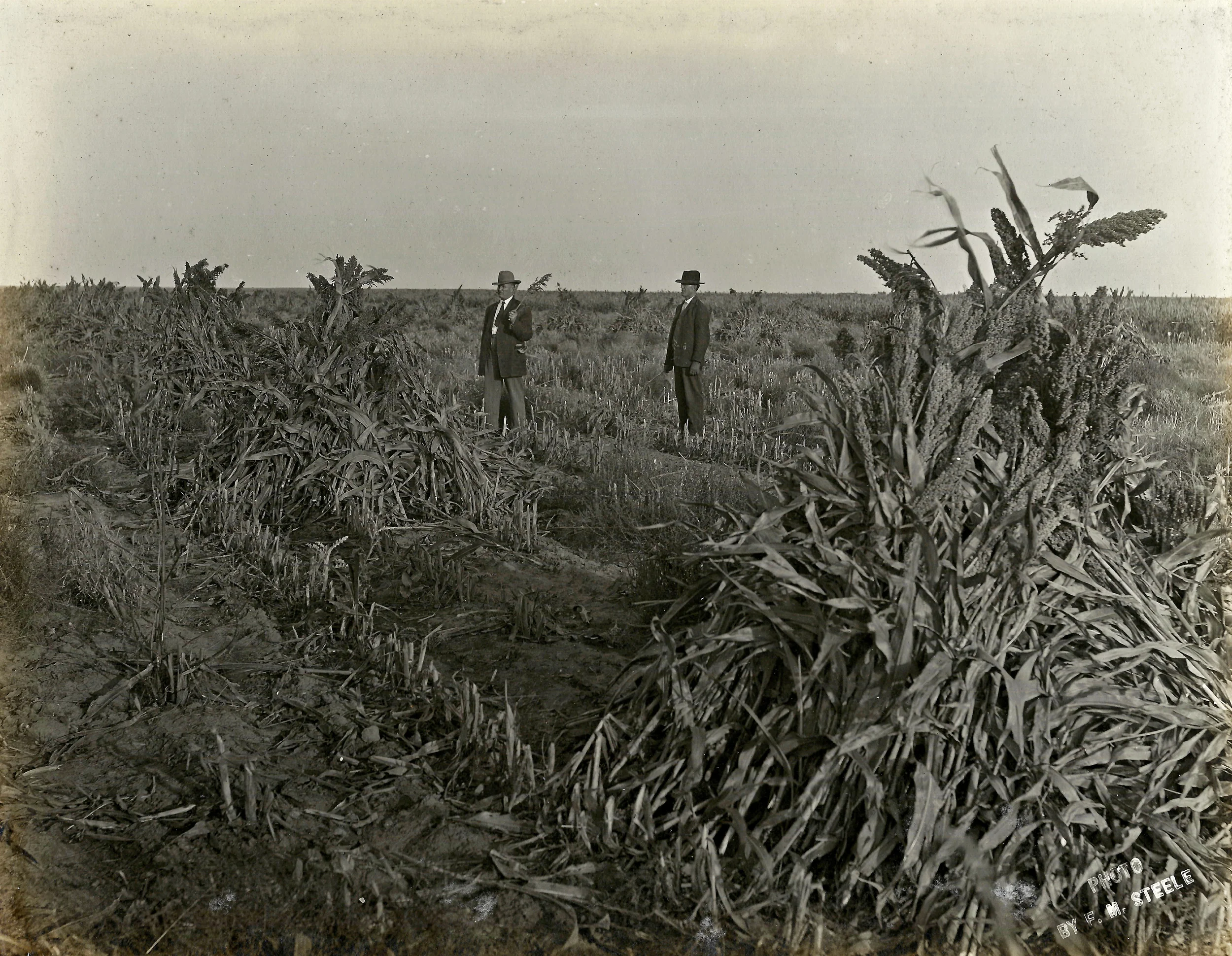 SCAN0099.jpg