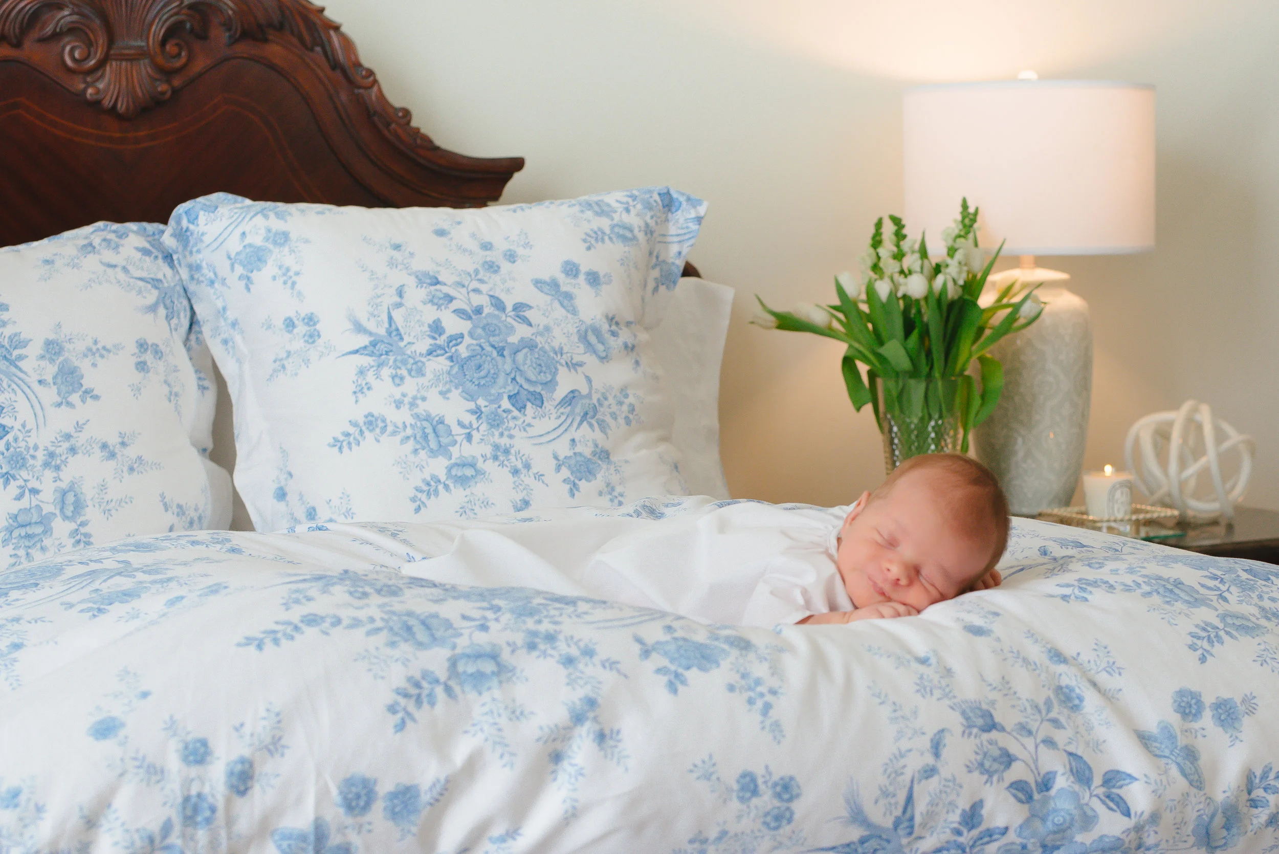 Teddy Fitton I Newborn