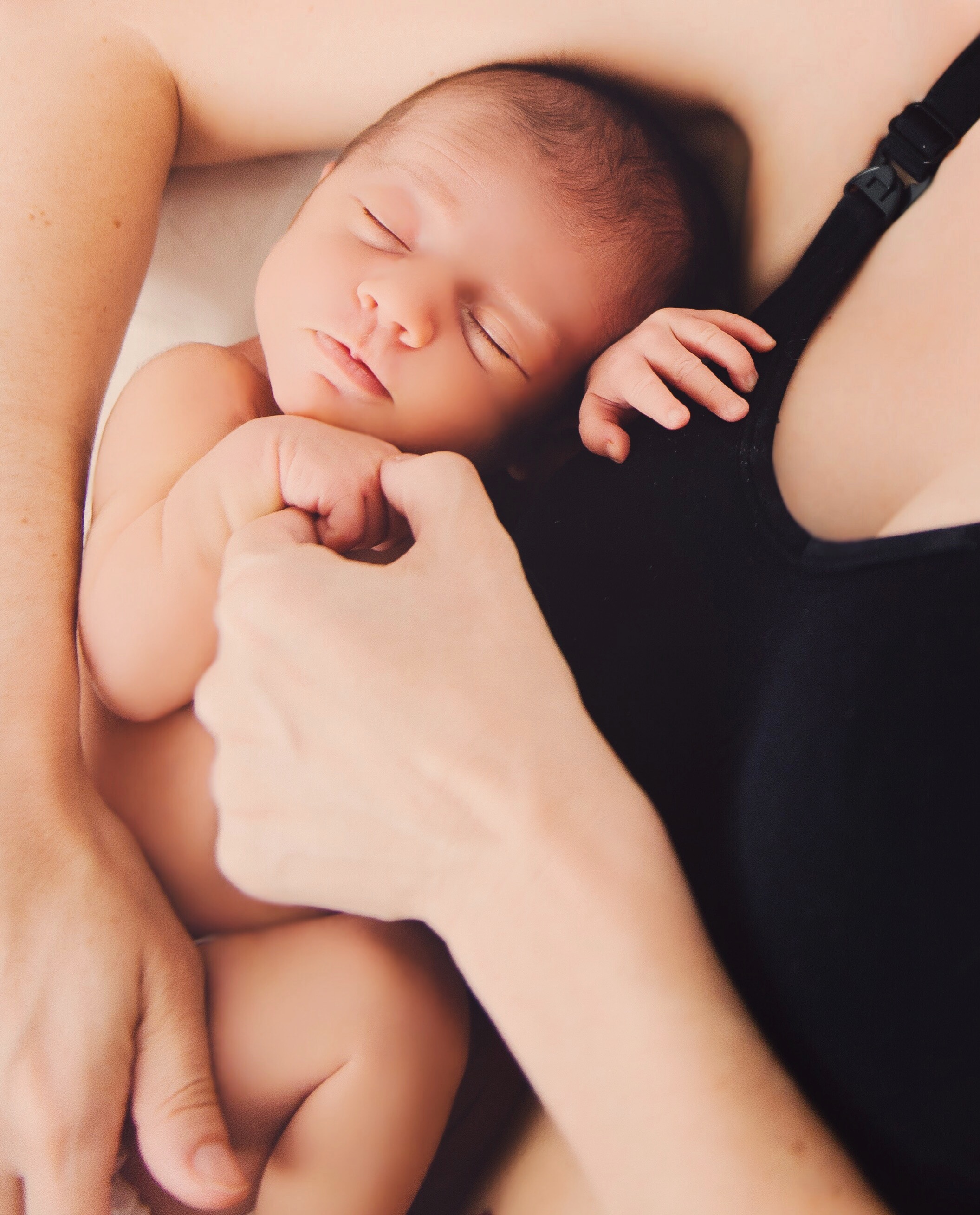 Elena Rose Avery | Newborn