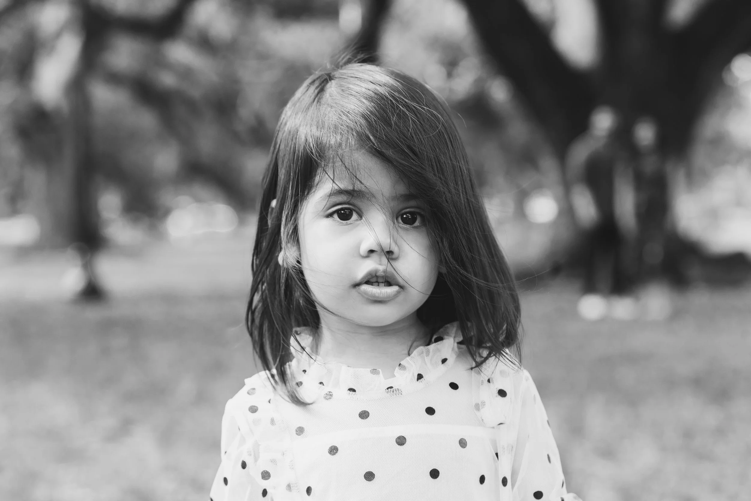 LDP_8541-2.JPG