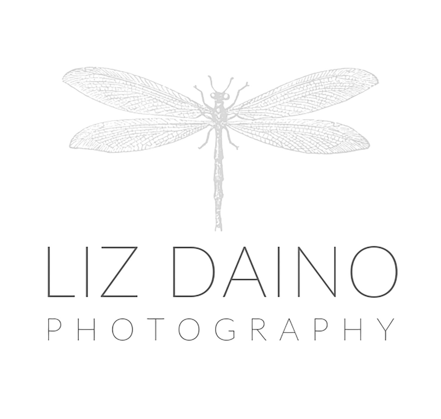 Liz Daino Photography