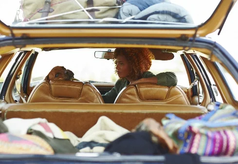 Road_Trip_1887.jpg