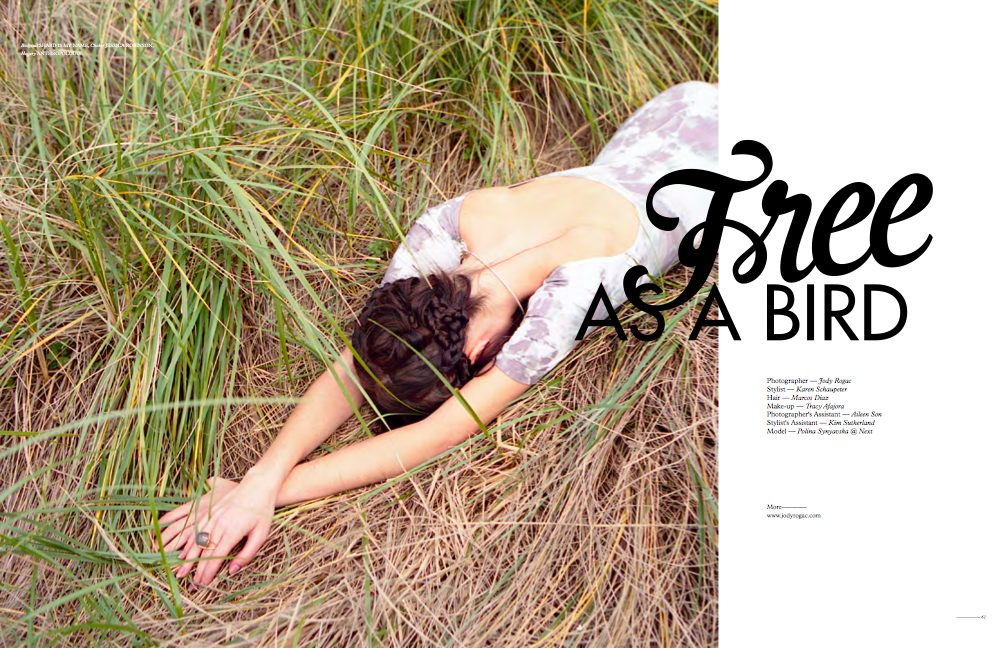 FREE AS A BIRD, THE LAB MAGAZINE