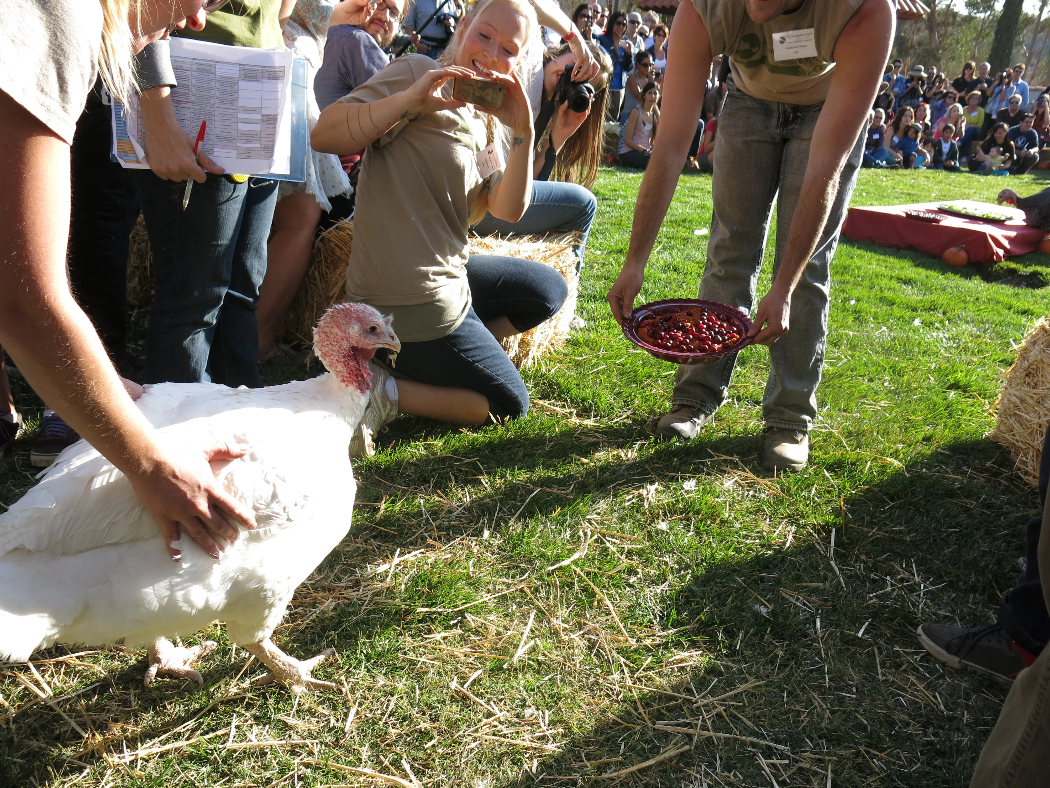 Vegan Celebration FOR the Turkeys at Farm Sanctuary!
