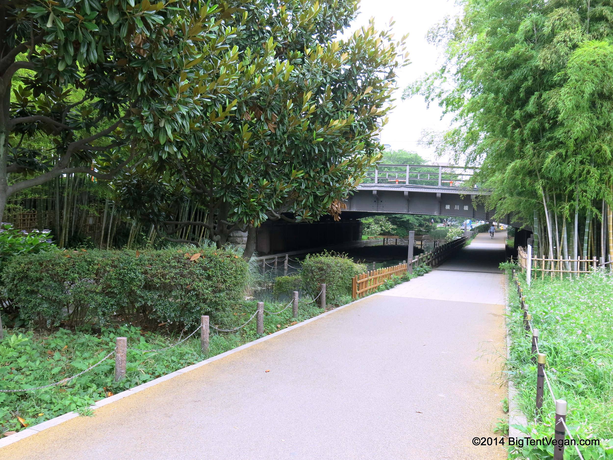 The edge of a lovely park just steps outside the front door of Sasaya Caf é .