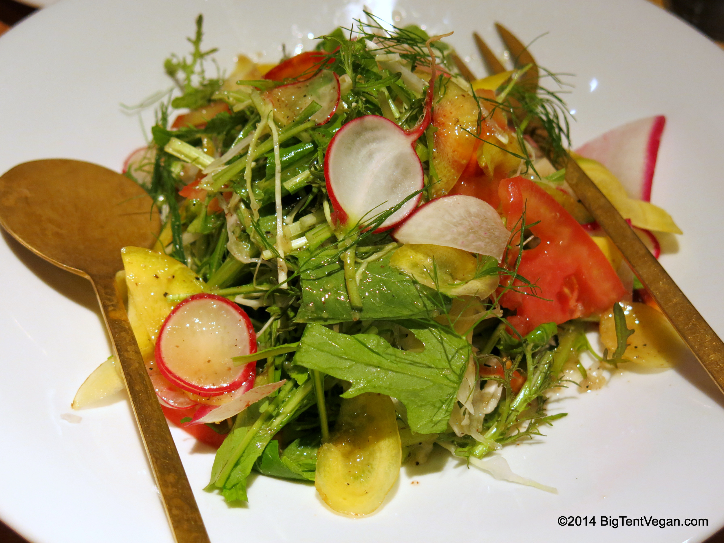 Garden Salad with Onion Mustard Dressing from 100% vegan restaurant Tosca (Kyoto, Japan)