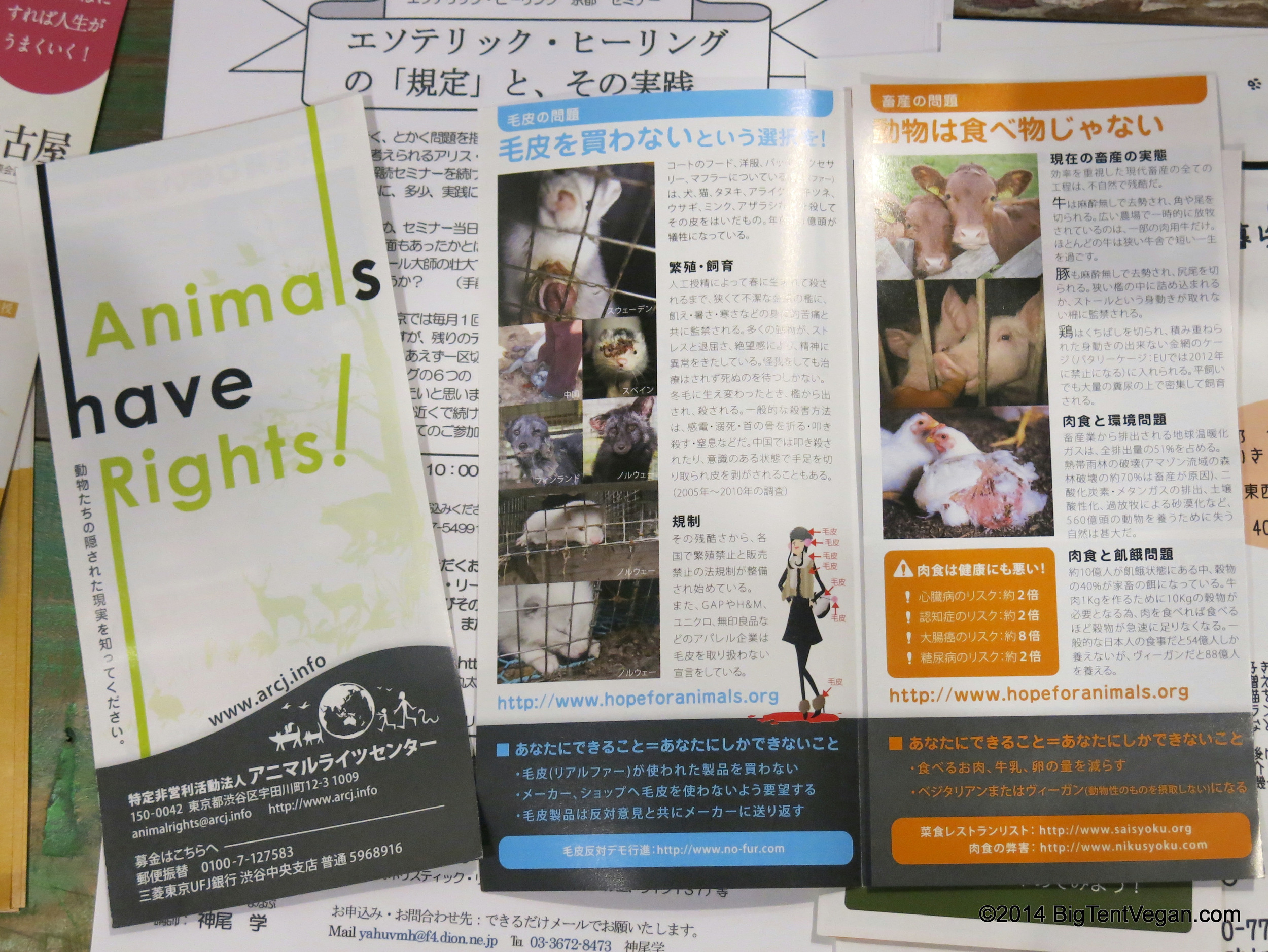 Leaflet published by the Animal Rights Center Japan based in Tokyo, Japan