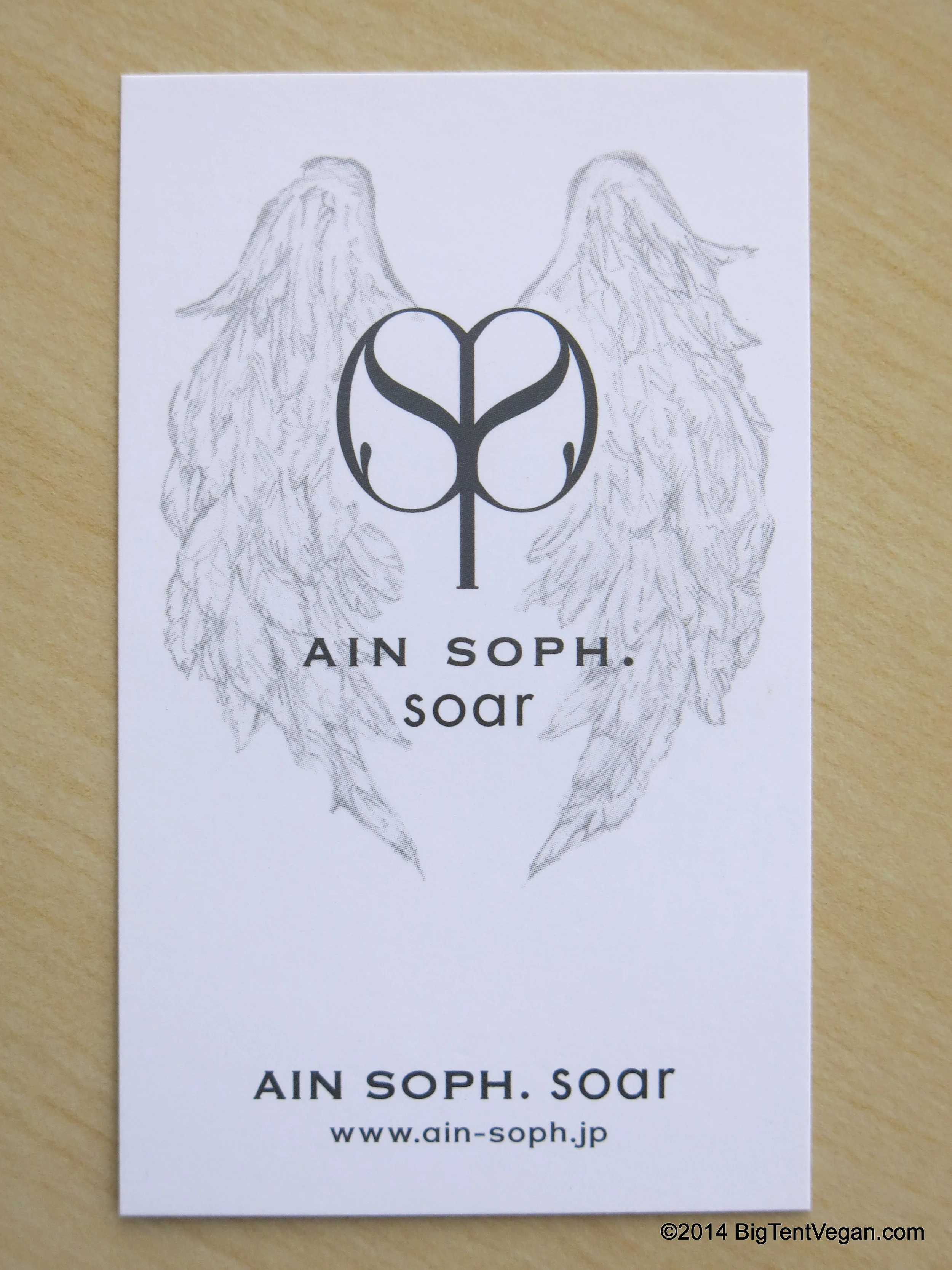 Ain Soph Soar