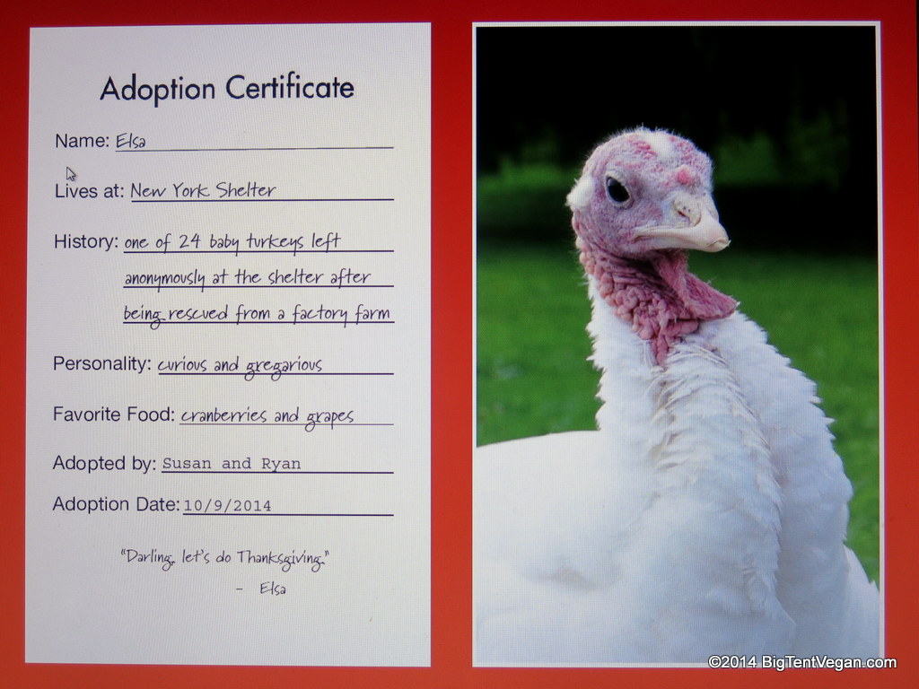 Adopt in their name a rescued cow, chicken, turkey, or pig from Farm Sanctuary or their favorite animal sanctuary.
