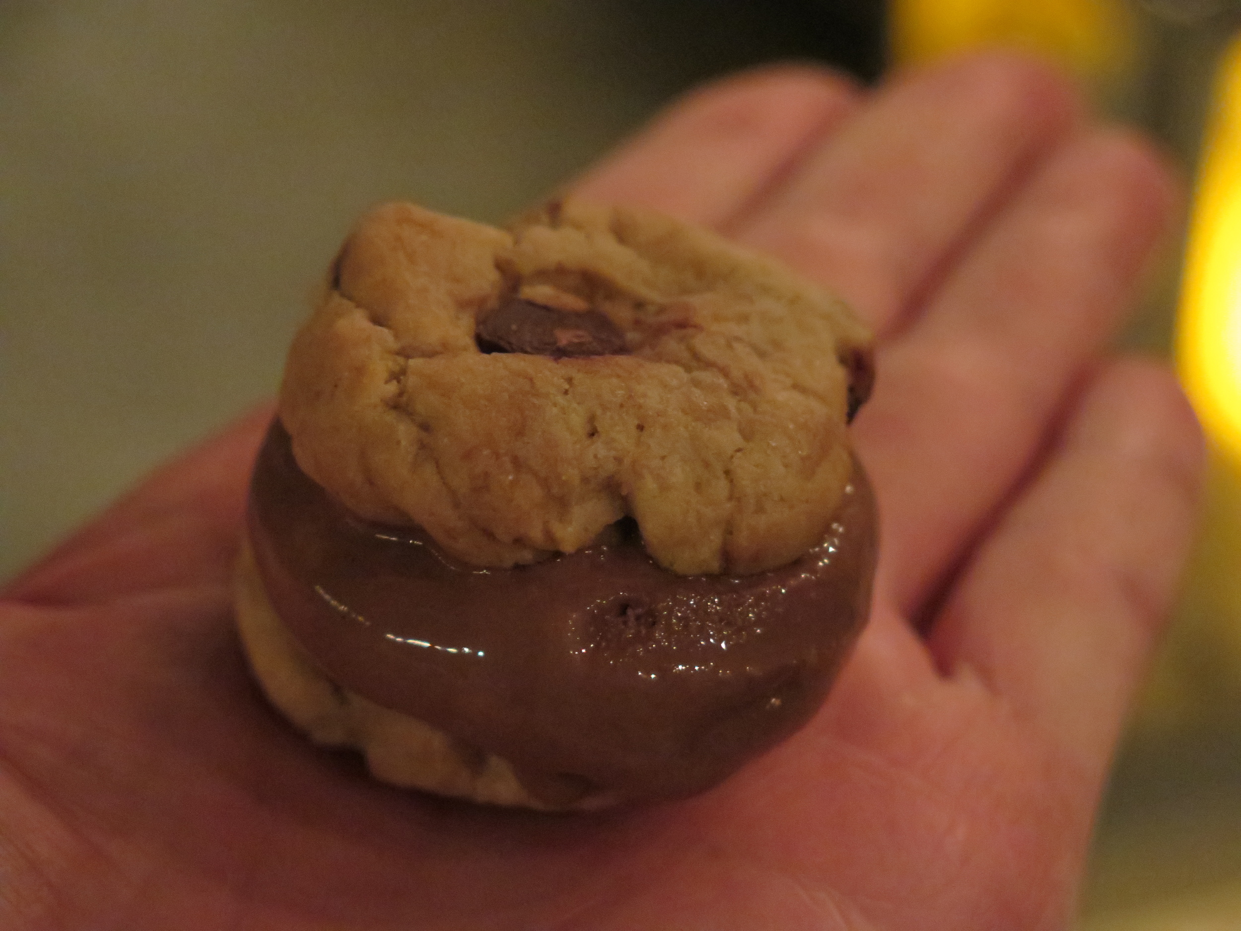 Mini chocolate chip chocolate ice cream sandwiches!