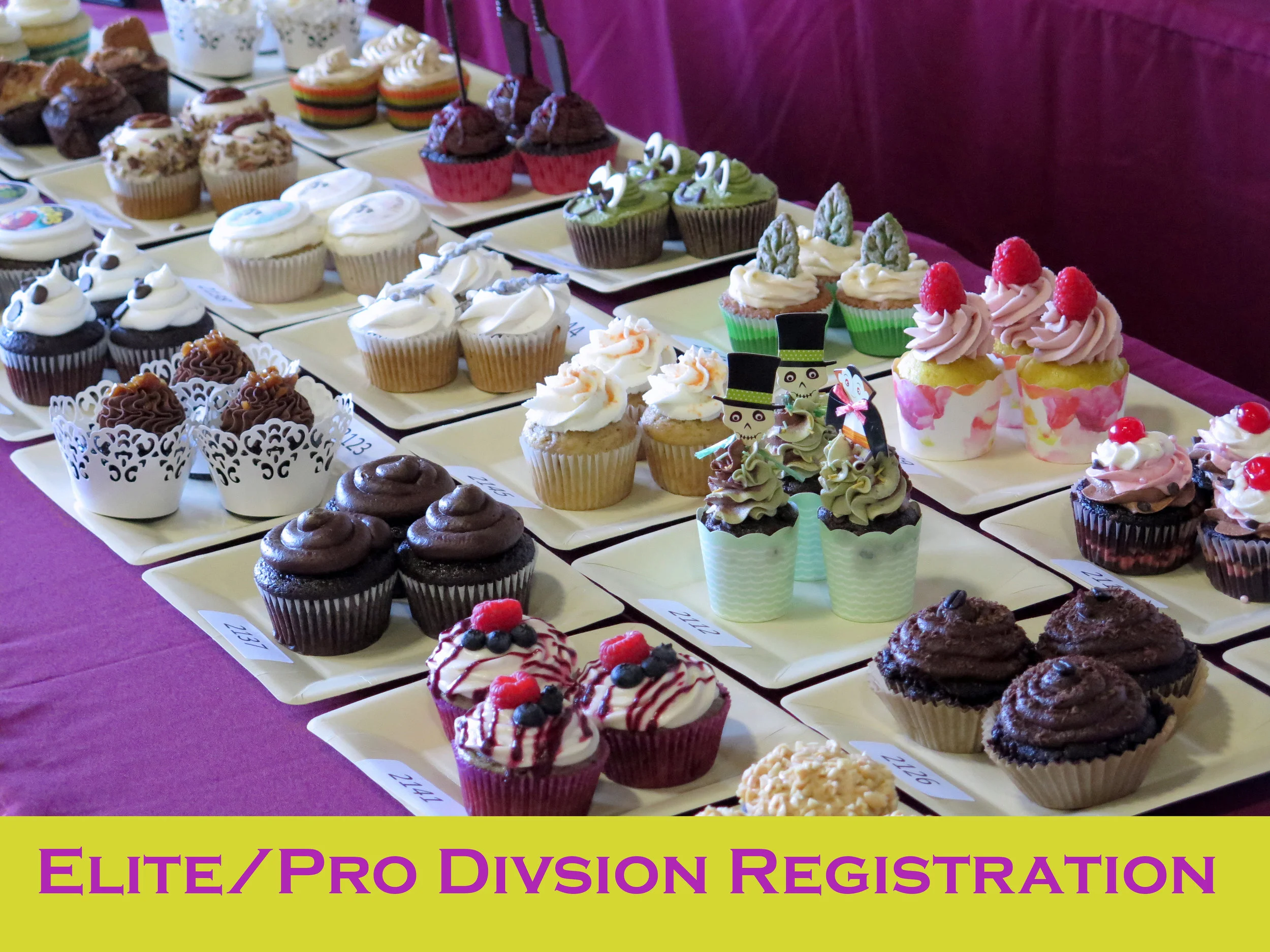 2019 Elite/Pro Division SoCal VegFest Vegan Cupcake Competition Registration Fee