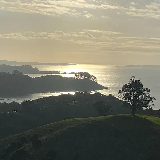 Warm afternoon glow today.. Indian summer has been kind to us! I hope the northern hemisphere bathing in warmth now too 💛💛💛💛💛💚