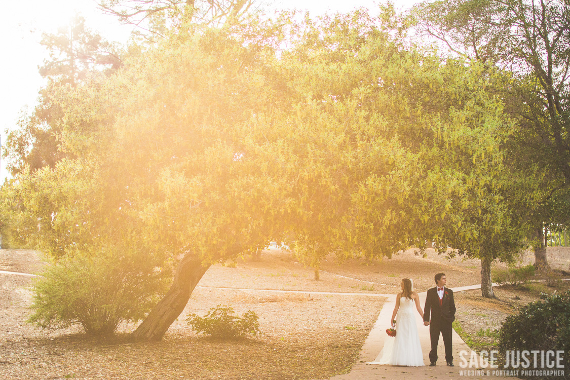 60 Alternative wedding photo.jpg