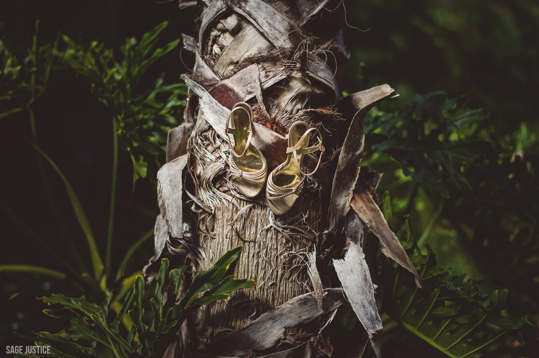 dinh & tom (1 of 1)-5.jpg