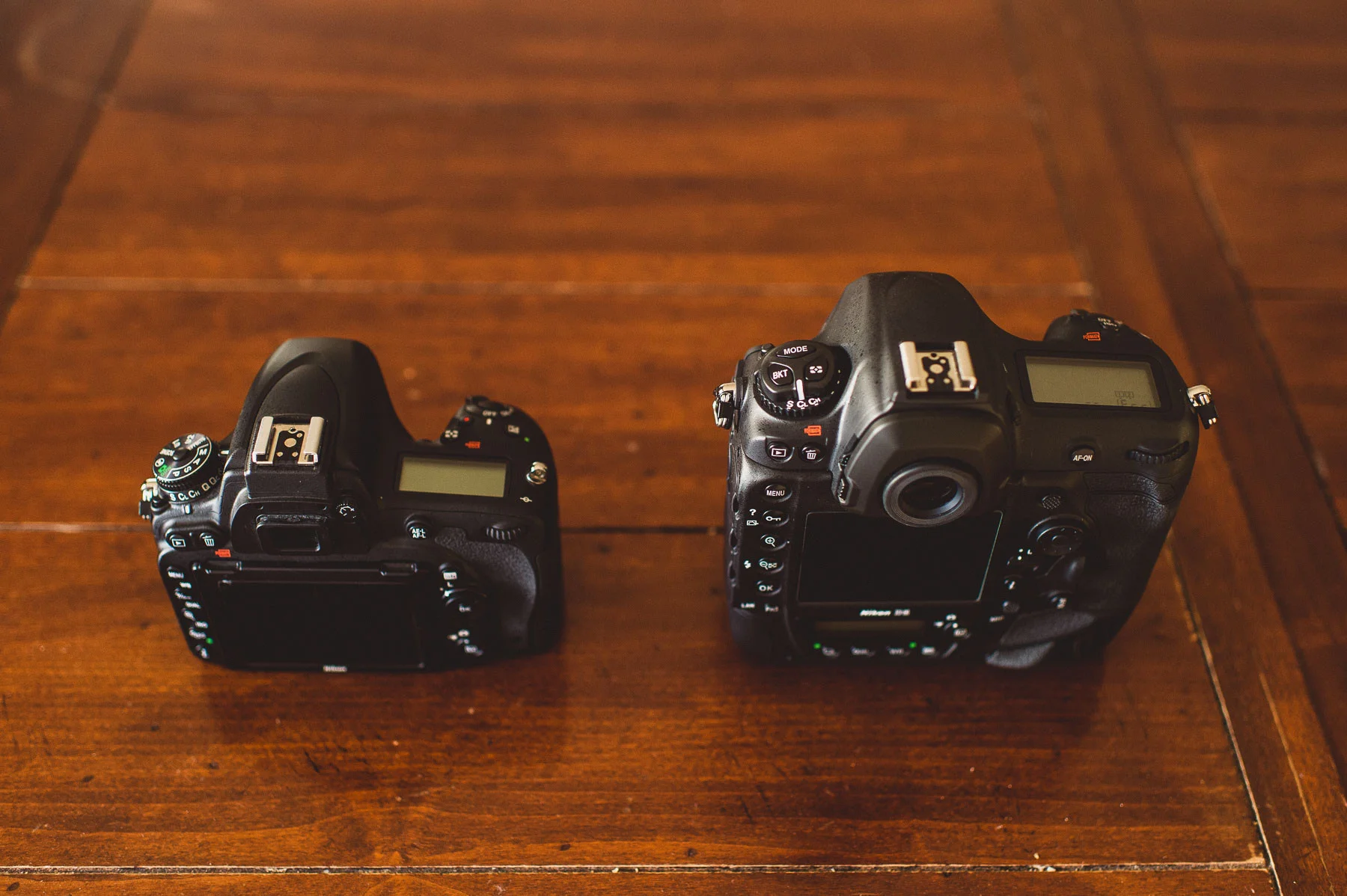 Nikon D5 Review D5 VS D750 VS D4s — San Diego Wedding Photographer