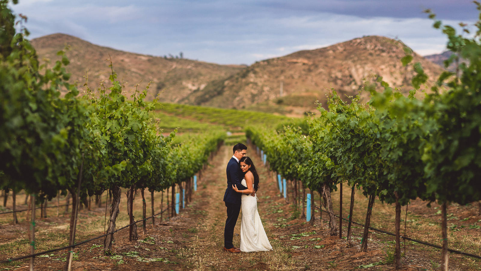 Orfila-winery-wedding-photo