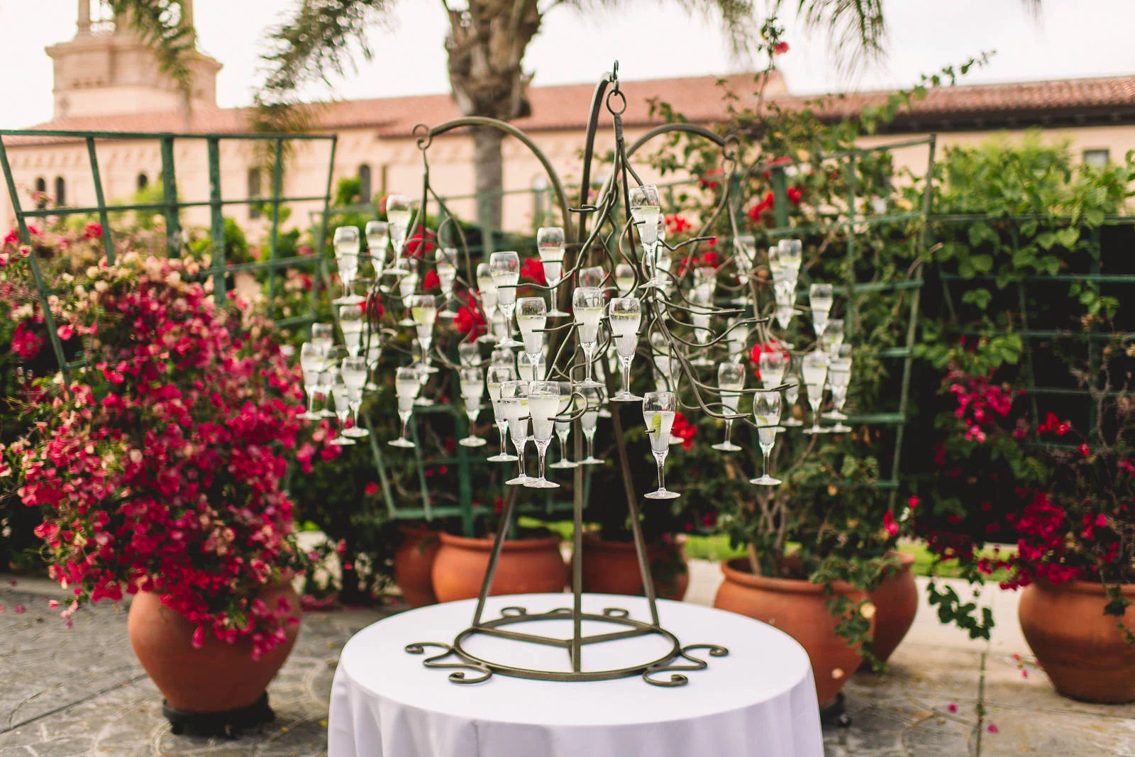 reception at cuvier club