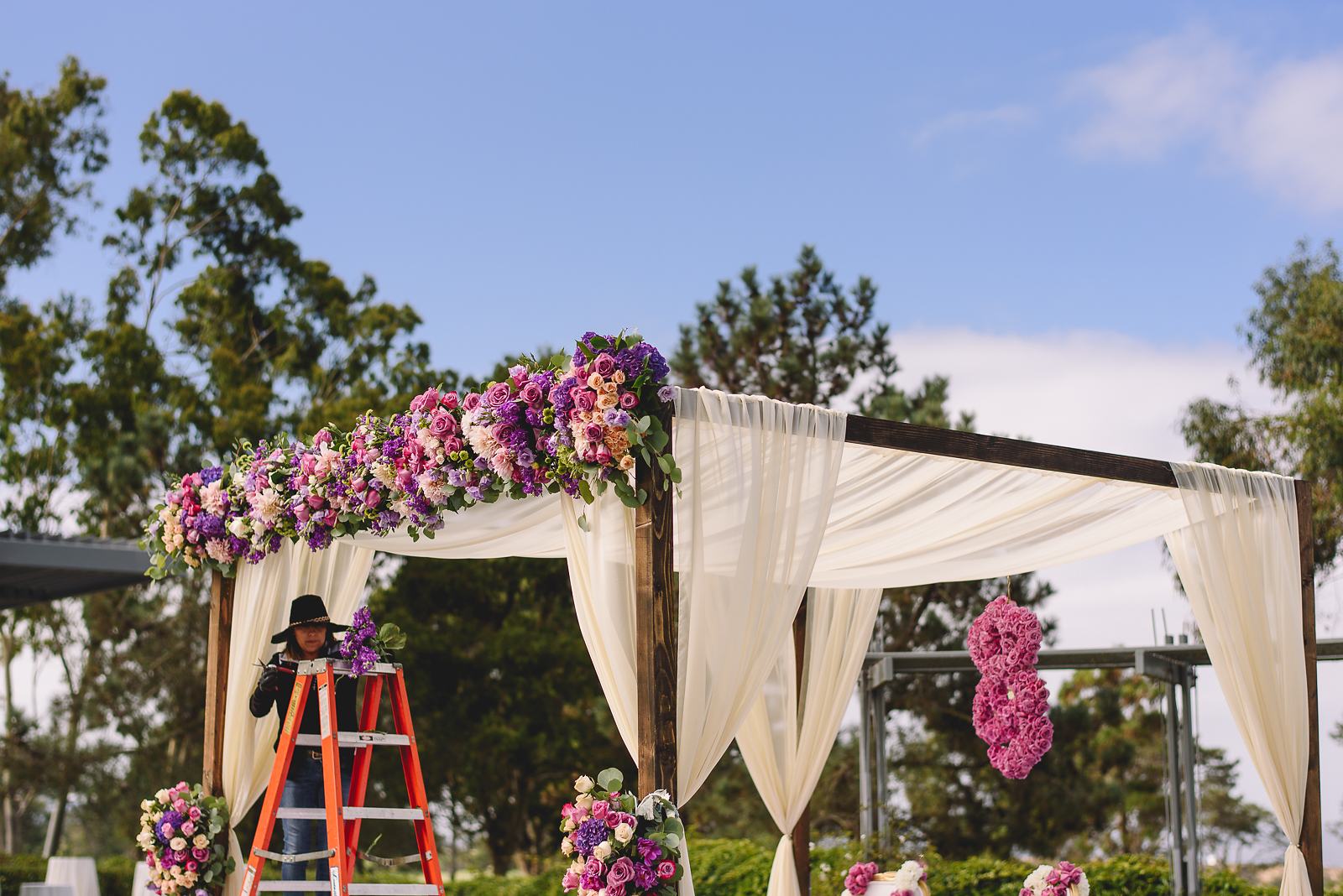 La Jolla Indian Wedding