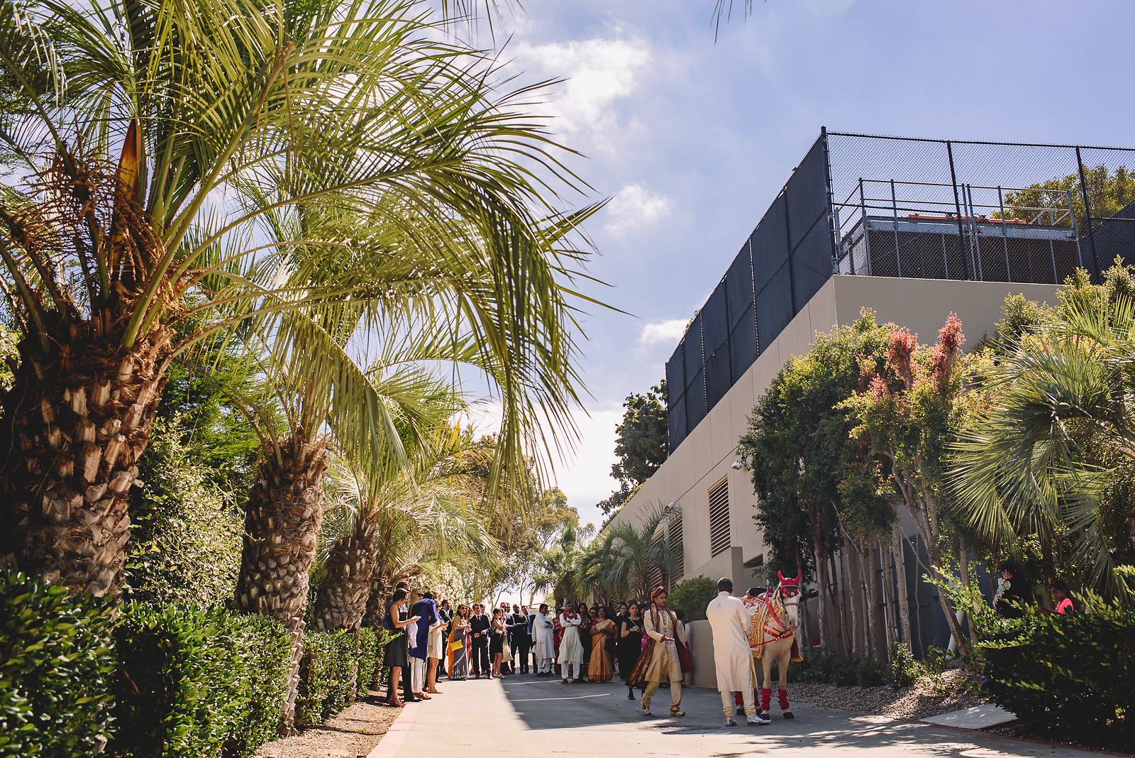 La Jolla Indian Wedding